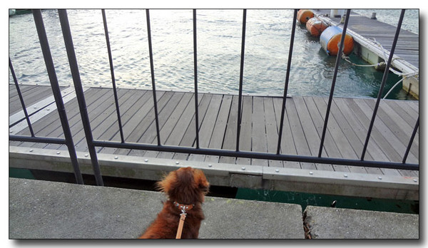 20130402123109.jpg