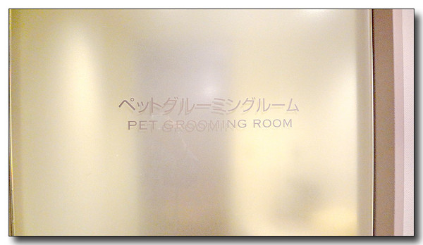 20130402172720.JPG