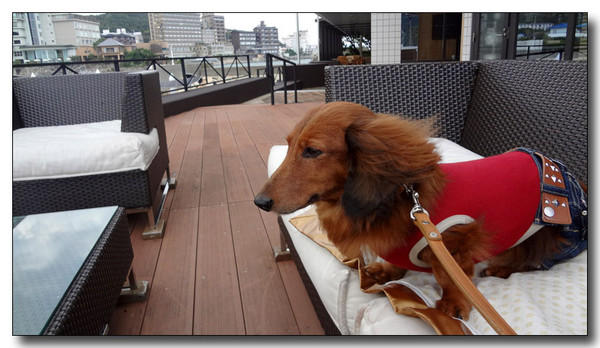 20130402181855.jpg
