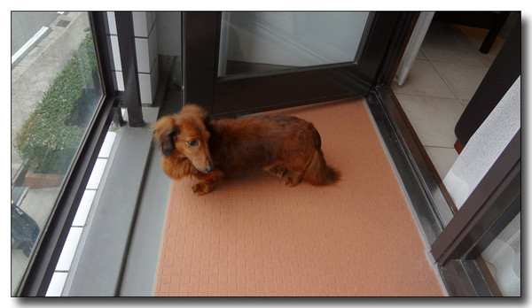 20130402190222.jpg