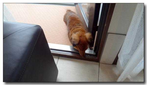20130402190301.jpg