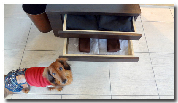 20130402192618.jpg
