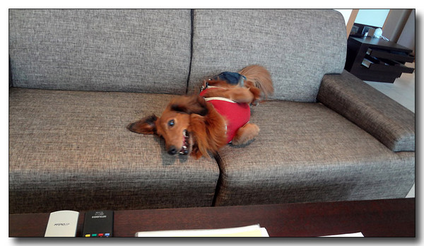 20130402193013.jpg