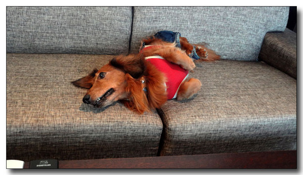 20130402193014.jpg