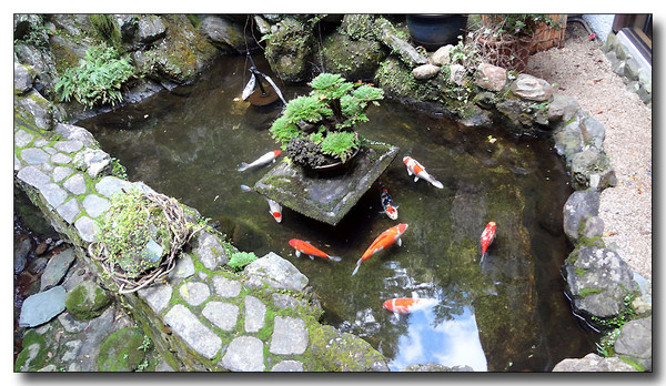 20130403095022.JPG
