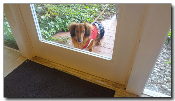 20130403101343.jpg