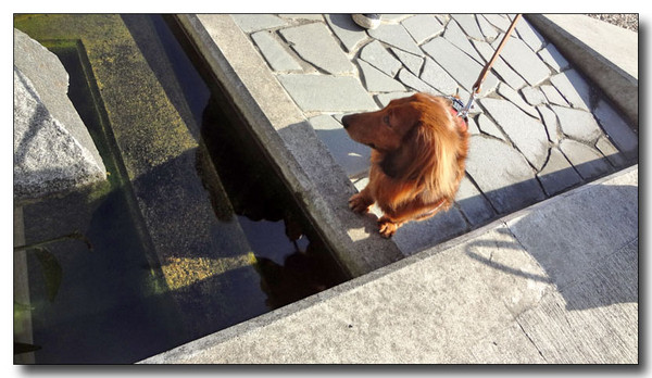20130404082612.jpg