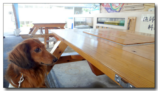 20130404091858.jpg