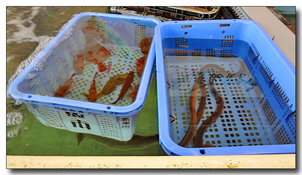 20130404091948.JPG