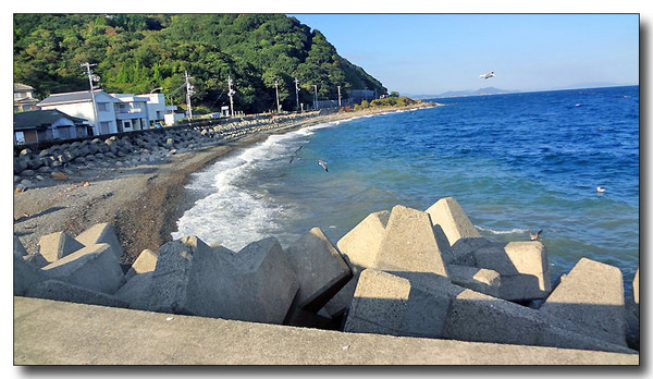 20130404092114.JPG