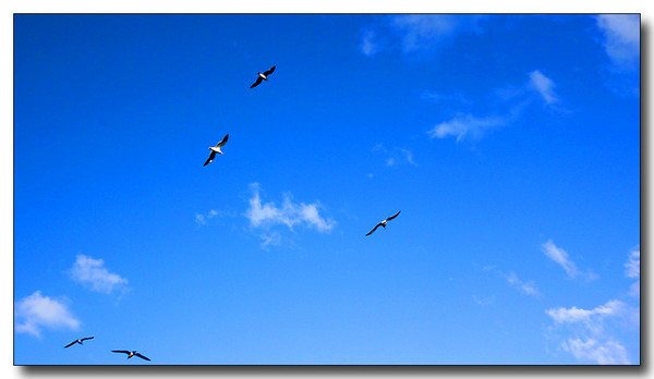 20130404092116.JPG