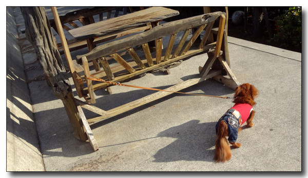 20130404092118.jpg