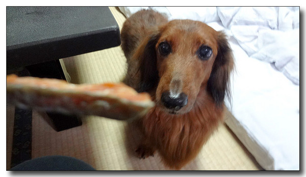 20130406011414.jpg