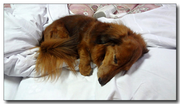 20130406011415.jpg