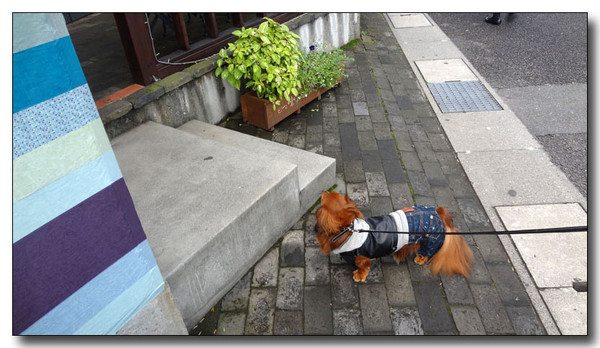 20130406092425.jpg
