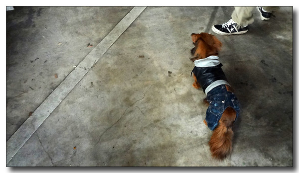 20130406123129.jpg