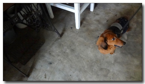 20130406123132.jpg