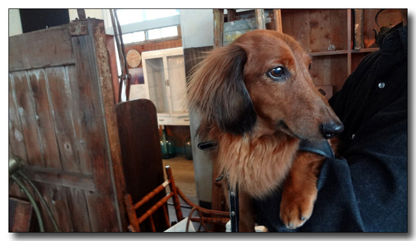 20130406123219.jpg