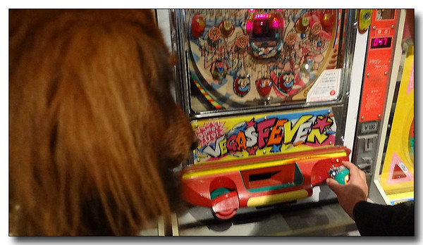 20130406125956.jpg