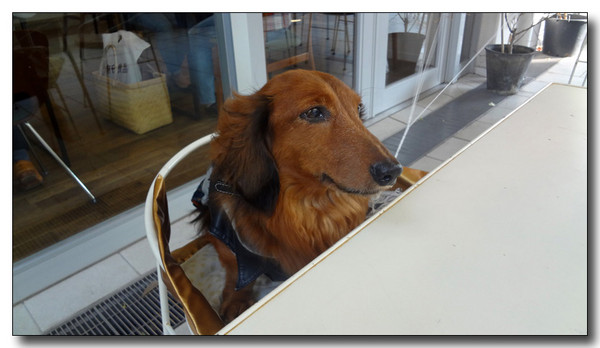20130406151127.jpg