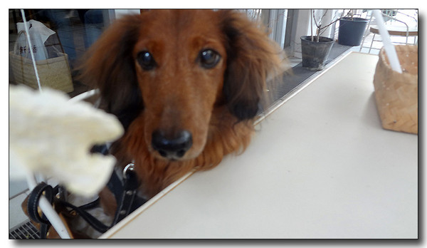 20130406151213.jpg
