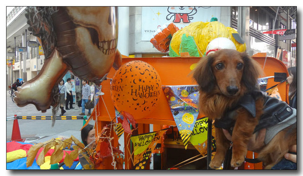 20130406162901.jpg
