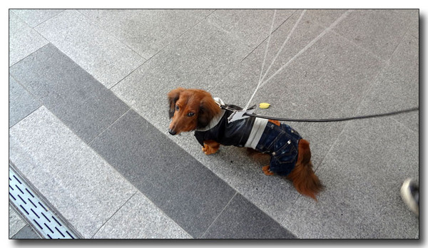 20130406162906.jpg