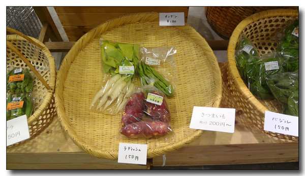 20130406180558.JPG