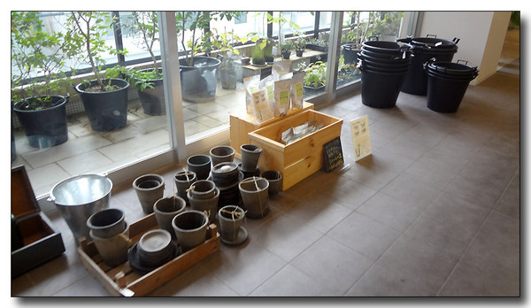 20130406180646.JPG