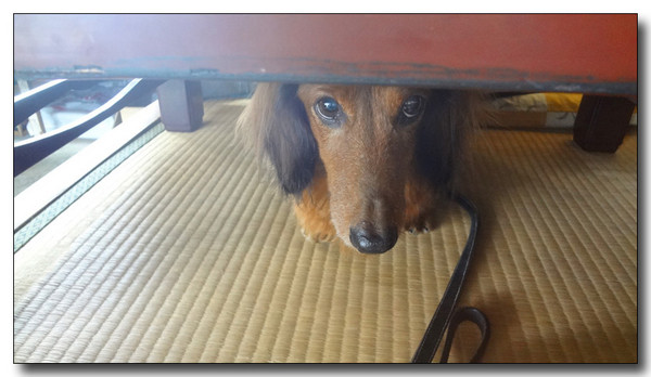 20130406183245.jpg
