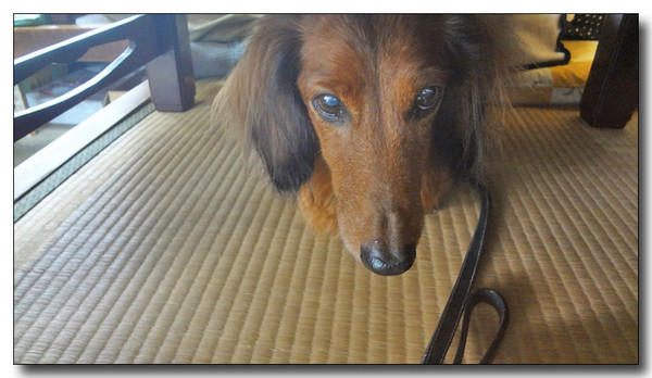 20130406183246.jpg