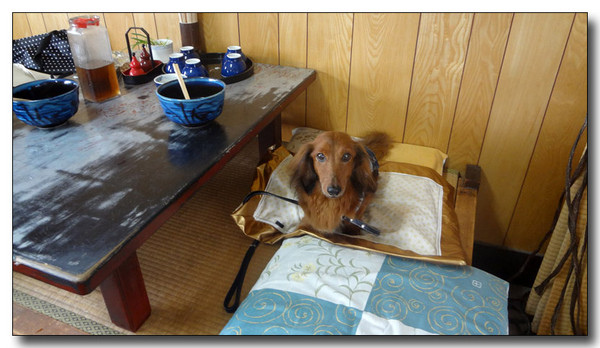 20130406183247.jpg