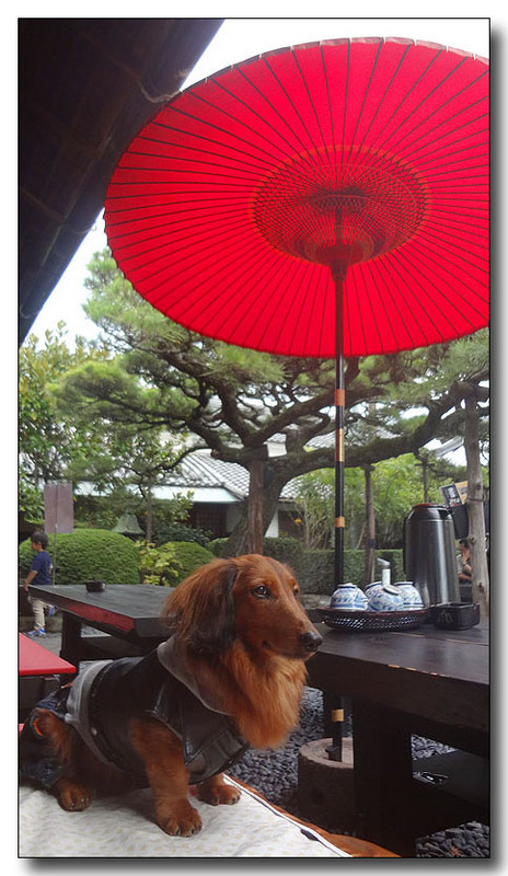 20130406191334.jpg