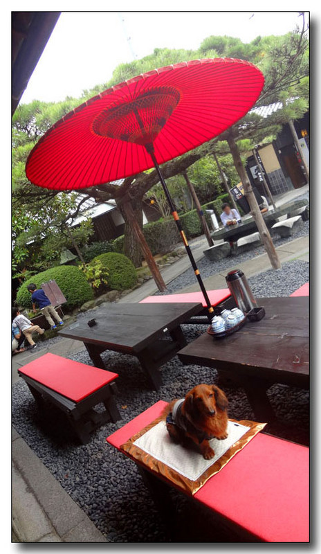 20130406191335.jpg