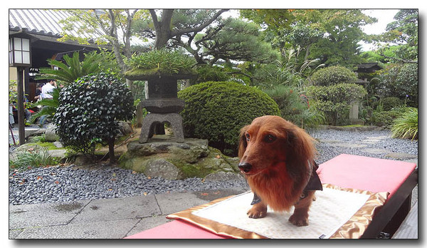 20130406191423.jpg