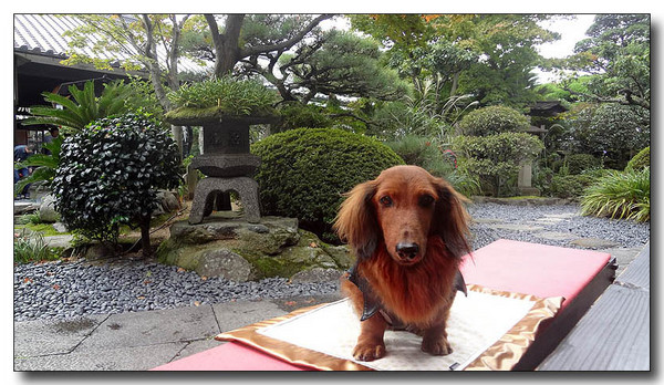 20130406191424.jpg