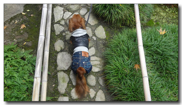 20130406191734.jpg