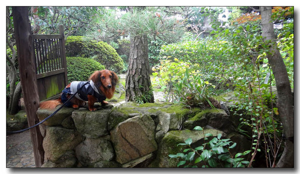 20130406191736.jpg