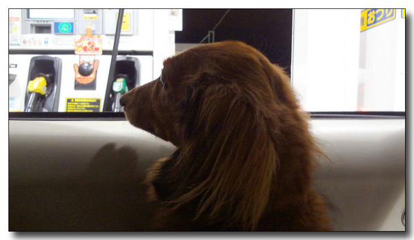 20130308011626.jpg