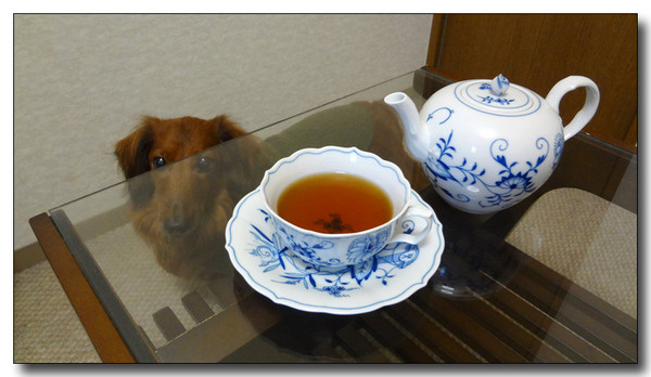 20130310045726.jpg