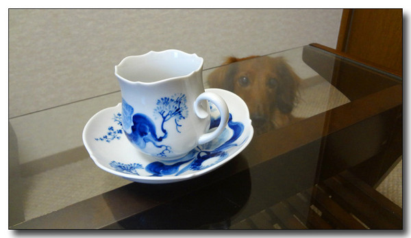 20130310045727.jpg