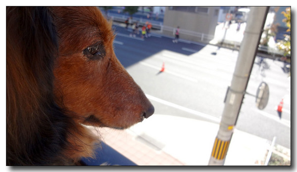 20130310045728.jpg