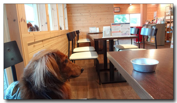 20130310052555.jpg