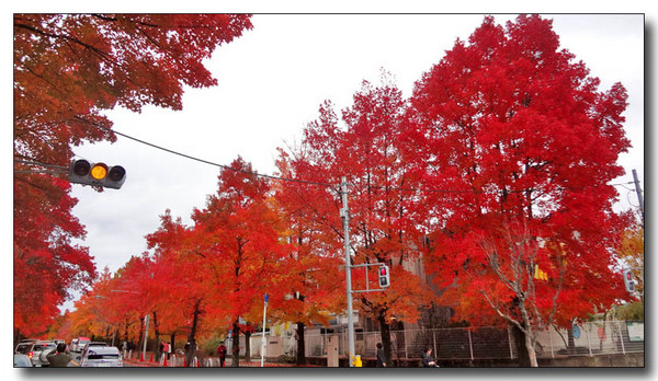 20130310053752.JPG