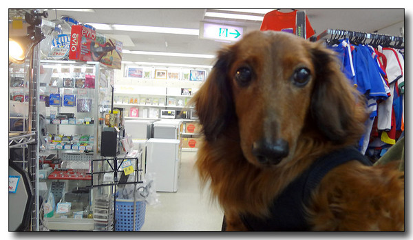 20130310073508.jpg