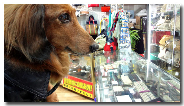 20130310073509.jpg