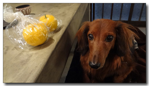 20130310155354.jpg