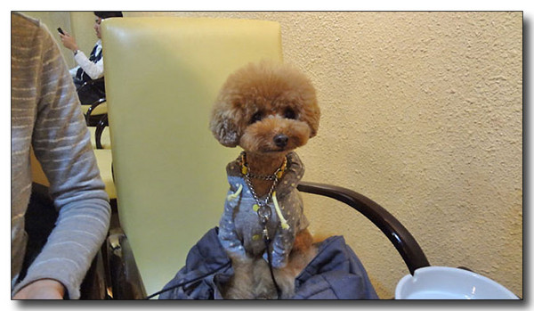 20130310164321.jpg
