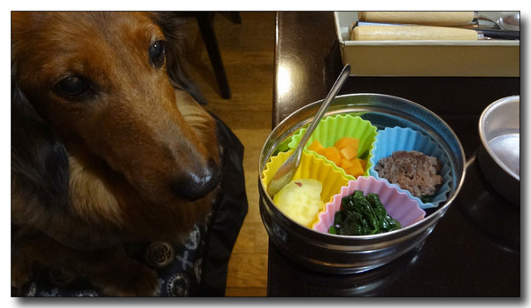 20130310164322.jpg