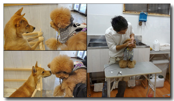 20130310165444.jpg